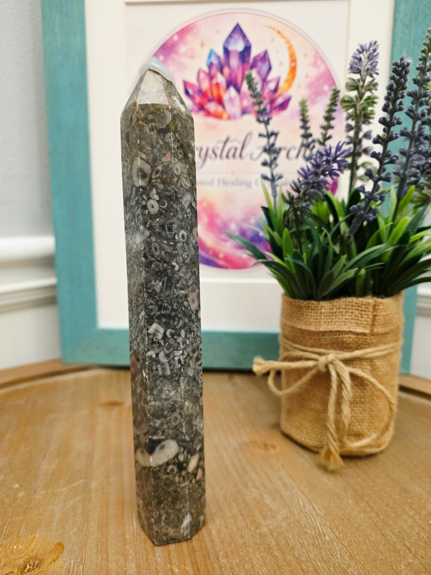 Natural Fossil Coral Tower | 8" Agatized Fossil Coral Point | Polished Coral Fossil Display