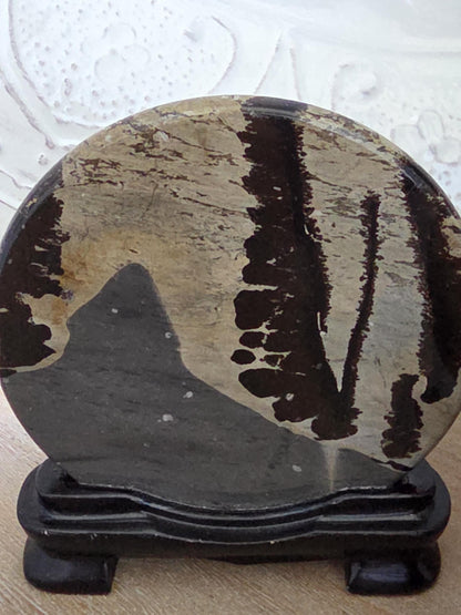 Nature Painted Picture Jasper Pair | Scenic Landscape Stone Diptych | Collector Mineral Art