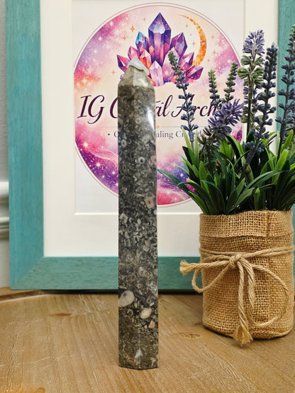 Natural Fossil Coral Tower | 8" Agatized Fossil Coral Point | Polished Coral Fossil Display