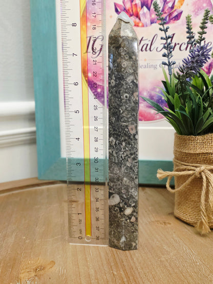 Natural Fossil Coral Tower | 8" Agatized Fossil Coral Point | Polished Coral Fossil Display