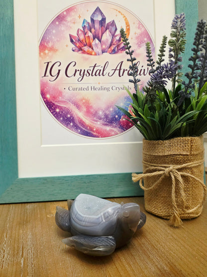 Druzy Agate Sea Turtle Crystal Carving | Gray Blue Banded Agate Turtle with Druzy | Ocean Crystal Decor | Crystal Collector Gift