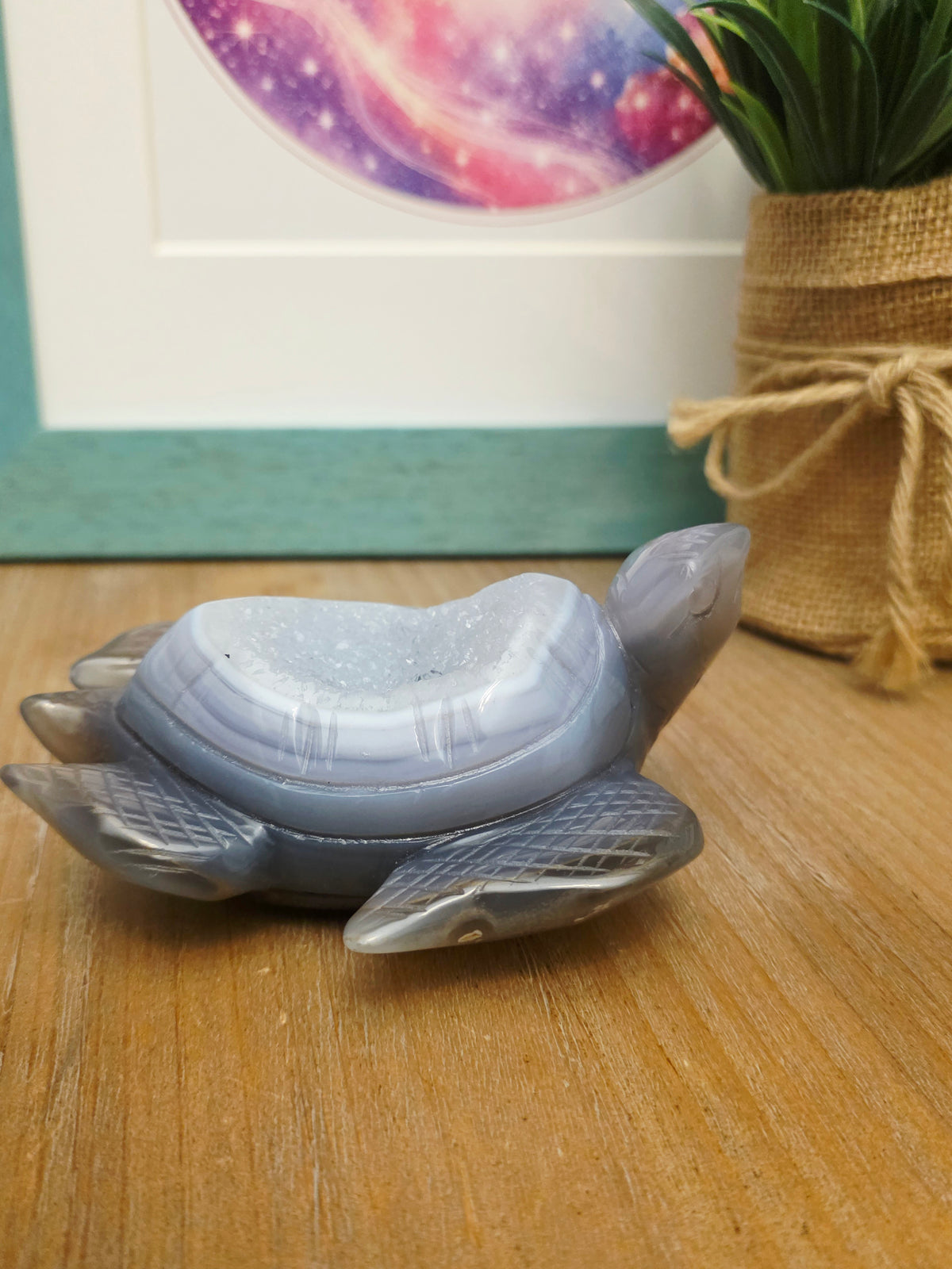 Druzy Agate Sea Turtle Crystal Carving | Gray Blue Banded Agate Turtle with Druzy | Ocean Crystal Decor | Crystal Collector Gift