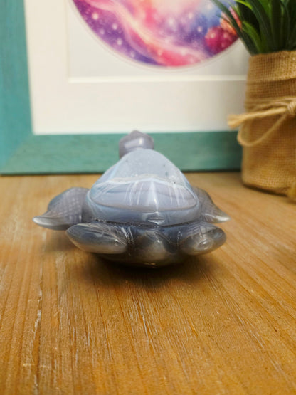 Druzy Agate Sea Turtle Crystal Carving | Gray Blue Banded Agate Turtle with Druzy | Ocean Crystal Decor | Crystal Collector Gift