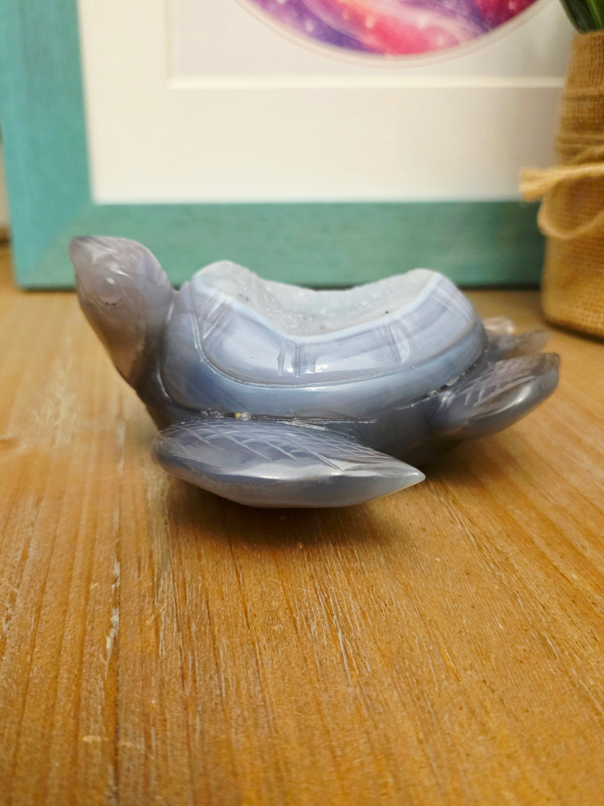 Druzy Agate Sea Turtle Crystal Carving | Gray Blue Banded Agate Turtle with Druzy | Ocean Crystal Decor | Crystal Collector Gift