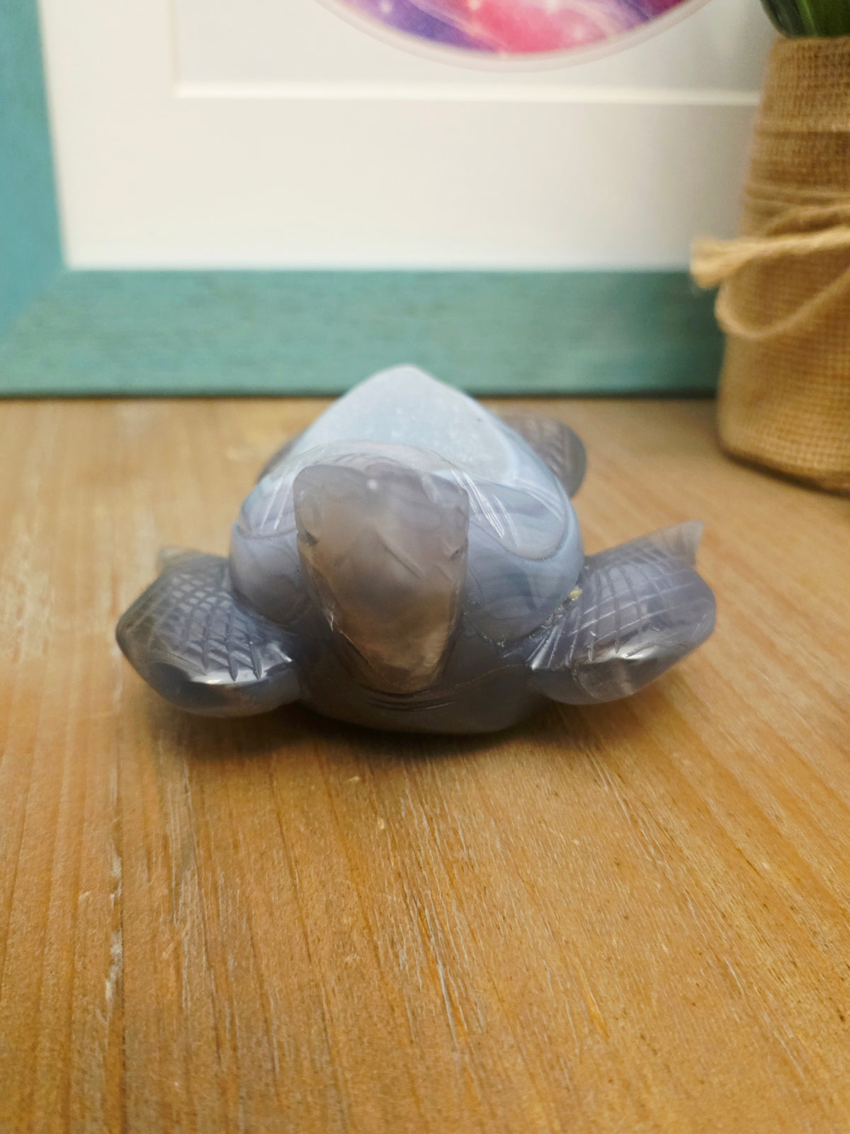 Druzy Agate Sea Turtle Crystal Carving | Gray Blue Banded Agate Turtle with Druzy | Ocean Crystal Decor | Crystal Collector Gift