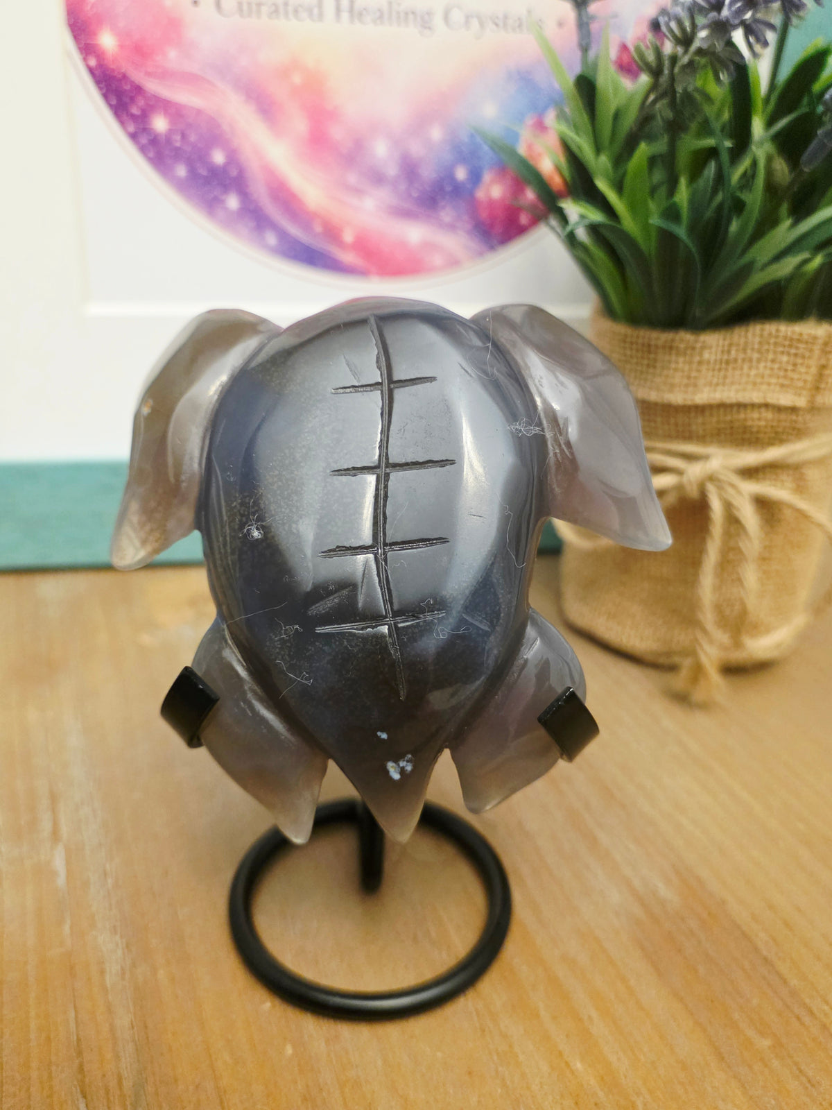 Druzy Agate Sea Turtle Crystal Carving | Gray Blue Banded Agate Turtle with Druzy | Ocean Crystal Decor | Crystal Collector Gift
