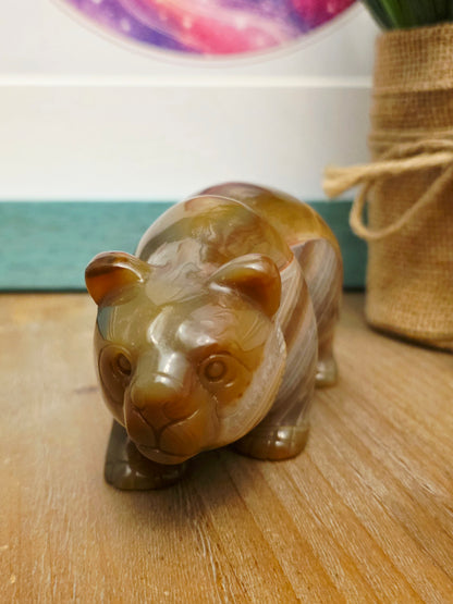 Flower Agate Panda Carving with Druzy | Cherry Blossom Agate Crystal Panda Figurine | Crystal Animal