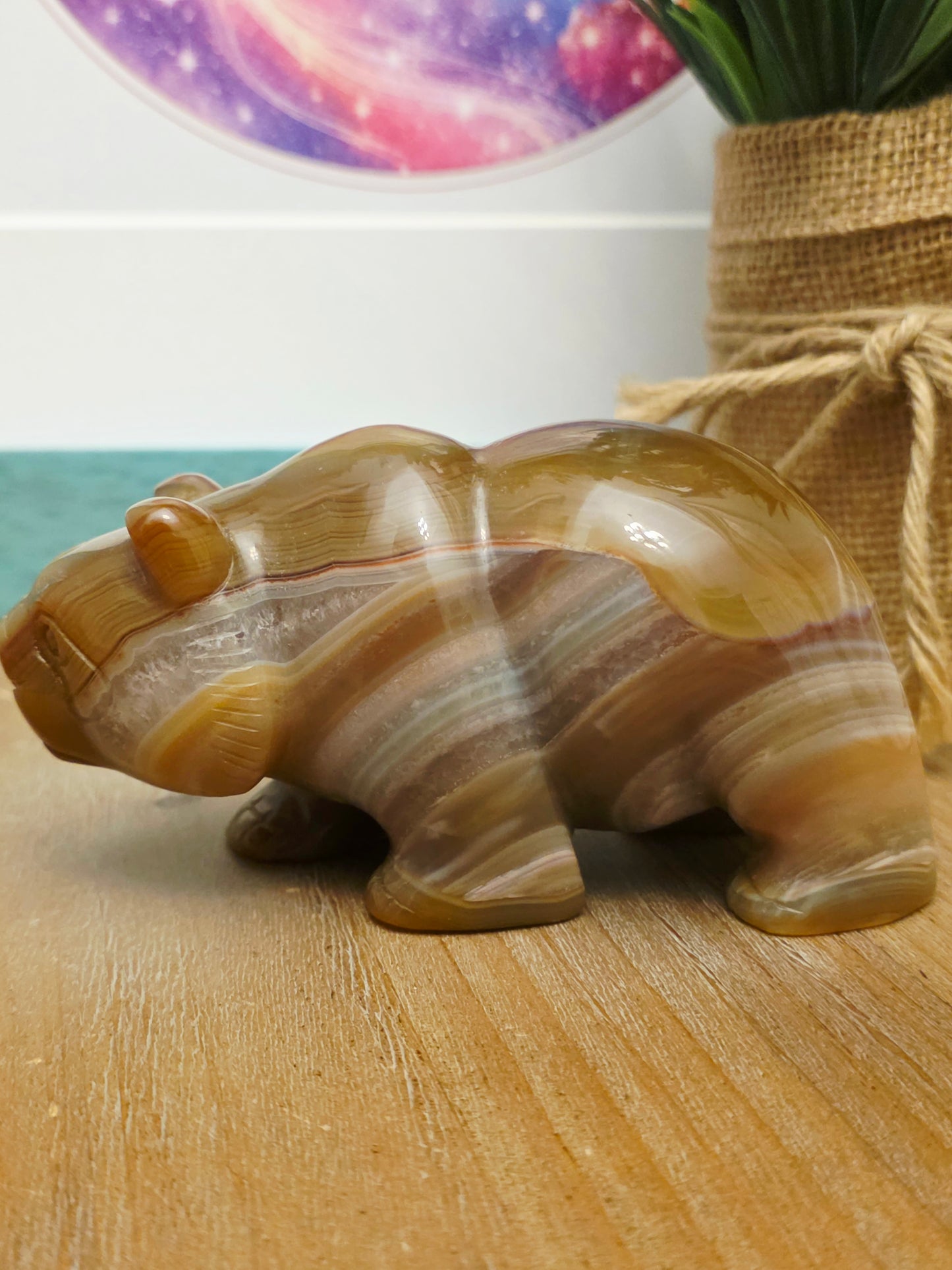 Flower Agate Panda Carving with Druzy | Cherry Blossom Agate Crystal Panda Figurine | Crystal Animal