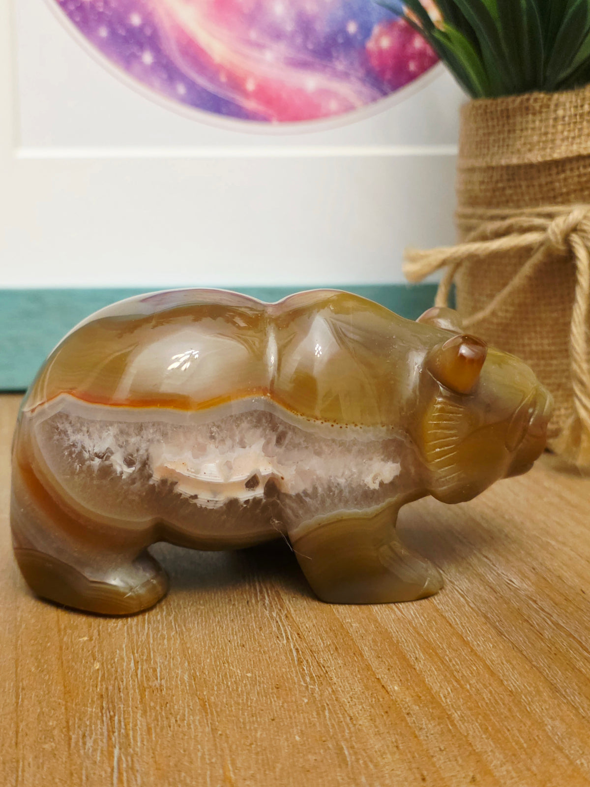 Flower Agate Panda Carving with Druzy | Cherry Blossom Agate Crystal Panda Figurine | Crystal Animal
