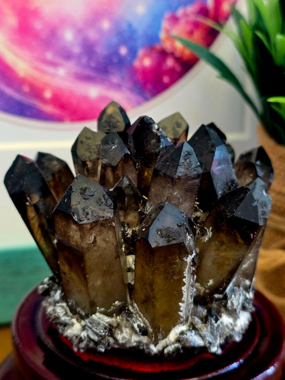 Natural Smoky Quartz Crystal Cluster | Dark Smoky Quartz Points on Matrix | Raw Mineral Specimen