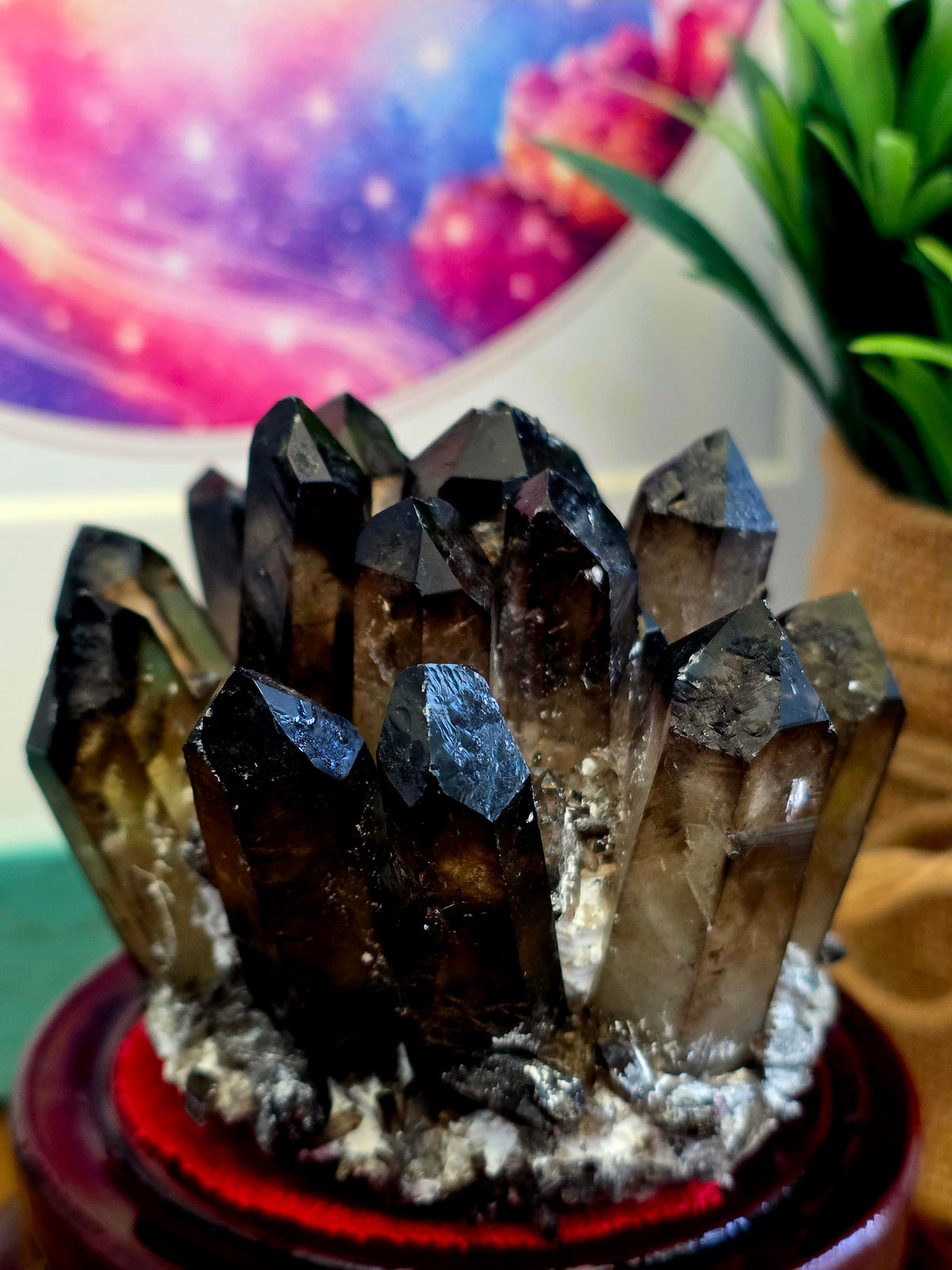 Natural Smoky Quartz Crystal Cluster | Dark Smoky Quartz Points on Matrix | Raw Mineral Specimen