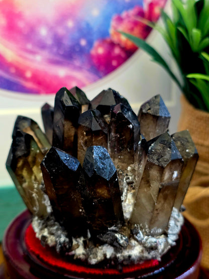 Natural Smoky Quartz Crystal Cluster | Dark Smoky Quartz Points on Matrix | Raw Mineral Specimen