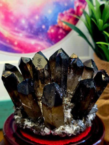 Natural Smoky Quartz Crystal Cluster | Dark Smoky Quartz Points on Matrix | Raw Mineral Specimen