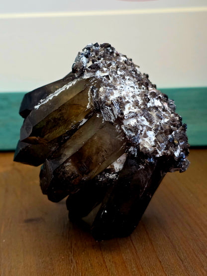 Natural Smoky Quartz Crystal Cluster | Dark Smoky Quartz Points on Matrix | Raw Mineral Specimen