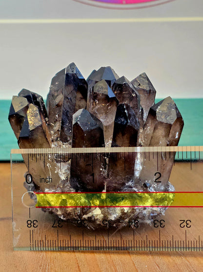 Natural Smoky Quartz Crystal Cluster | Dark Smoky Quartz Points on Matrix | Raw Mineral Specimen