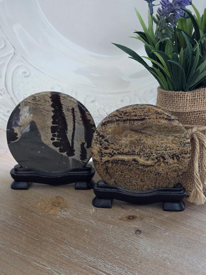 Nature Painted Picture Jasper Pair | Scenic Landscape Stone Diptych | Collector Mineral Art