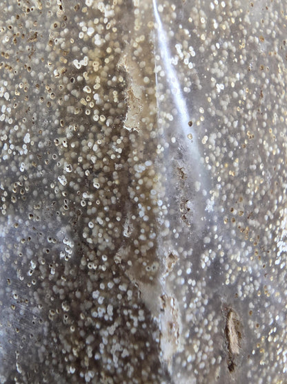 Polished Fossil Coral Tower | Agatized Ocean Stone Décor (Approx. 9.5 inches)