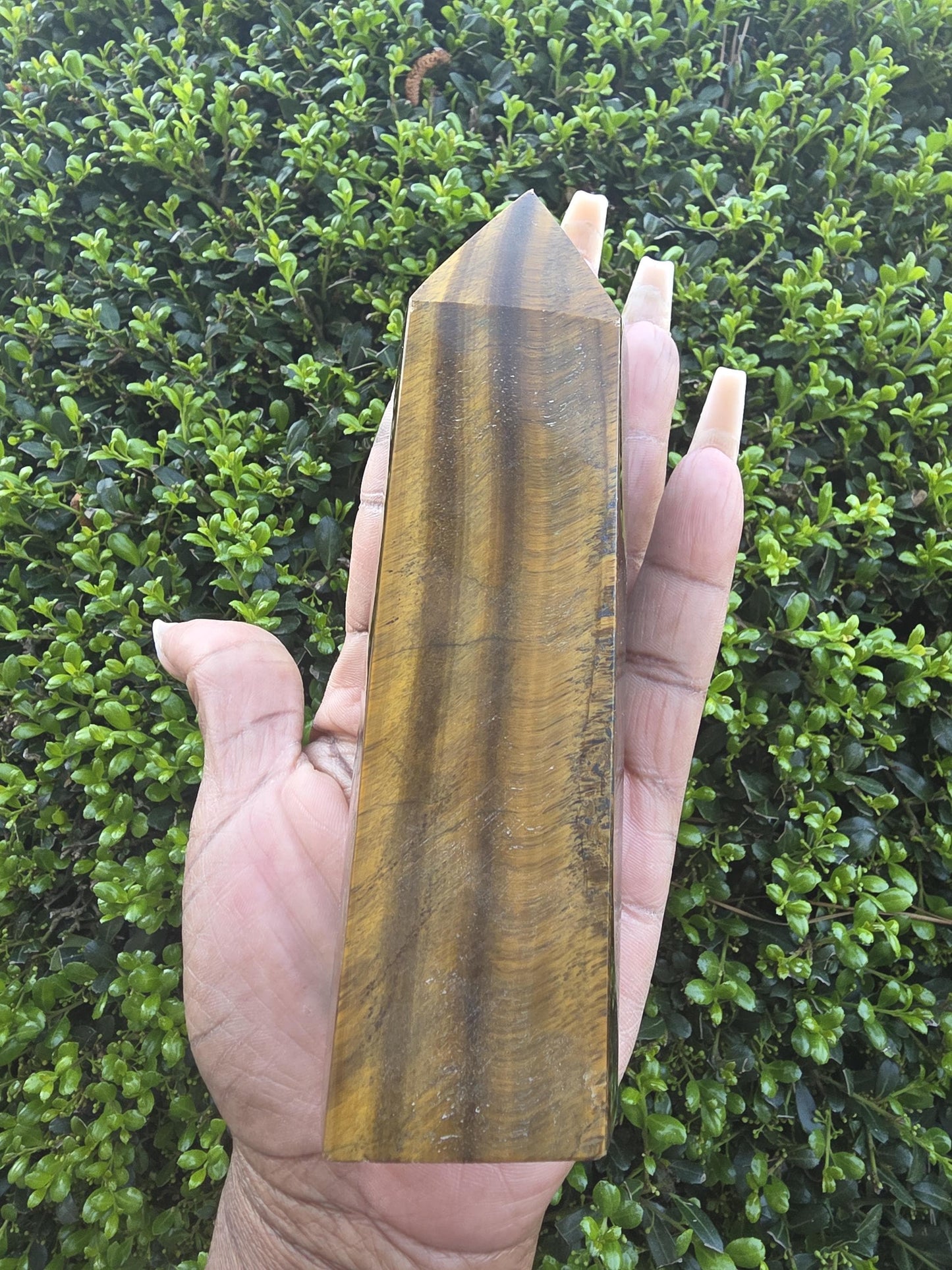 Tiger's Eye Single Terminated Crystal Wand | Polished Golden Brown Chatoyancy Stone