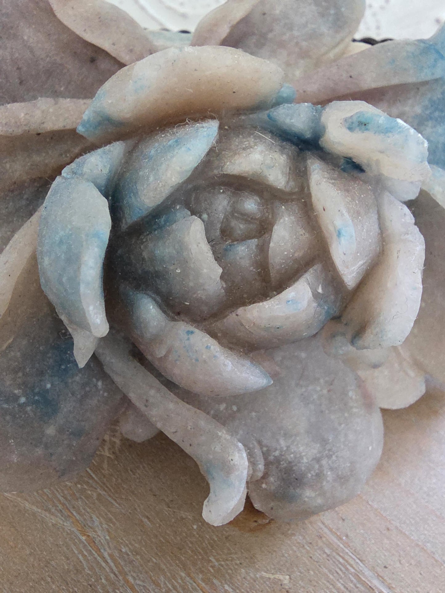 Hand Carved Quartz Flower Sculpture | Botanical Crystal Art | Collector Mineral Specimen