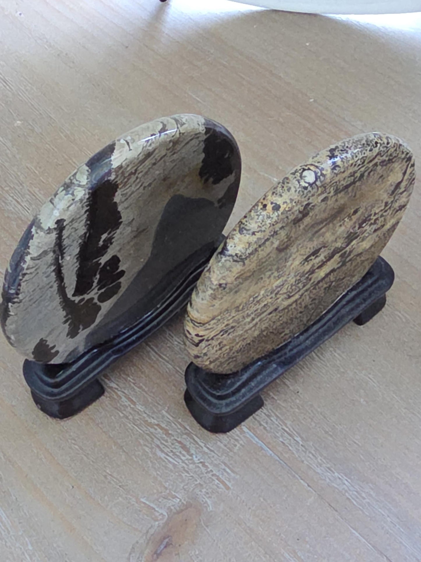 Nature Painted Picture Jasper Pair | Scenic Landscape Stone Diptych | Collector Mineral Art