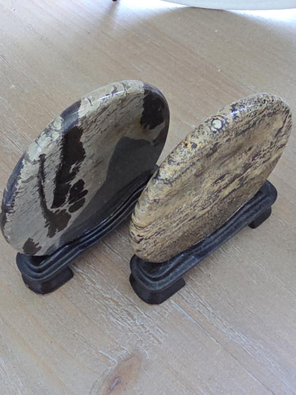 Nature Painted Picture Jasper Pair | Scenic Landscape Stone Diptych | Collector Mineral Art