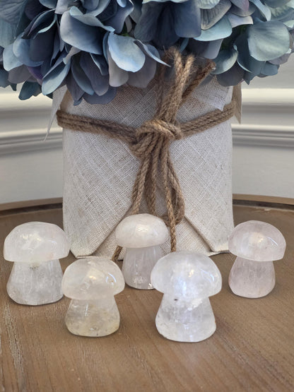 Mini Clear Quartz Mushroom Carvings | Hand Polished Crystal Decor, Healing Altar Stones