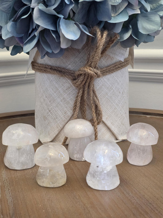 Mini Clear Quartz Mushroom Carvings | Hand Polished Crystal Decor, Healing Altar Stones