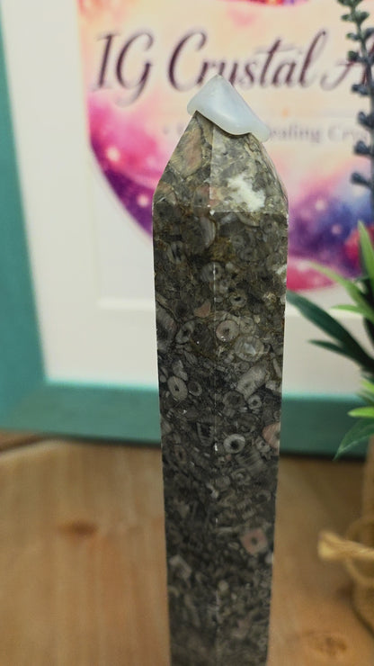Natural Fossil Coral Tower | 8" Agatized Fossil Coral Point | Polished Coral Fossil Display