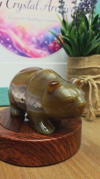 Flower Agate Panda Carving with Druzy | Cherry Blossom Agate Crystal Panda Figurine | Crystal Animal