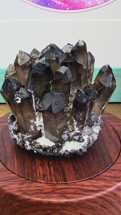Natural Smoky Quartz Crystal Cluster | Dark Smoky Quartz Points on Matrix | Raw Mineral Specimen