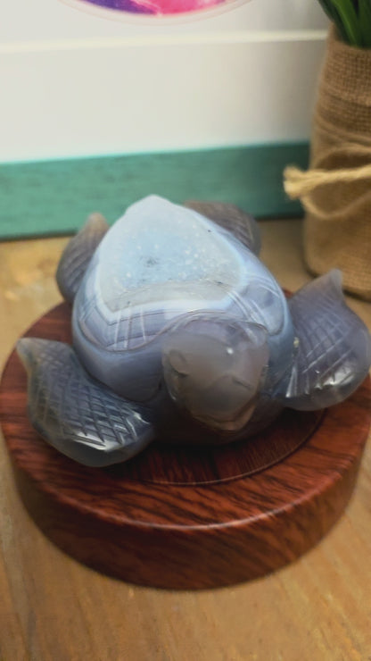 Druzy Agate Sea Turtle Crystal Carving | Gray Blue Banded Agate Turtle with Druzy | Ocean Crystal Decor | Crystal Collector Gift